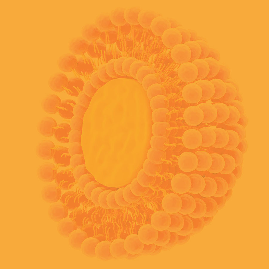 Most liposomal product particle size on the market are 100-300nm, whereas LIPOTABS™ are 70nm in size on average, which increases their absorption and clinical effects.
